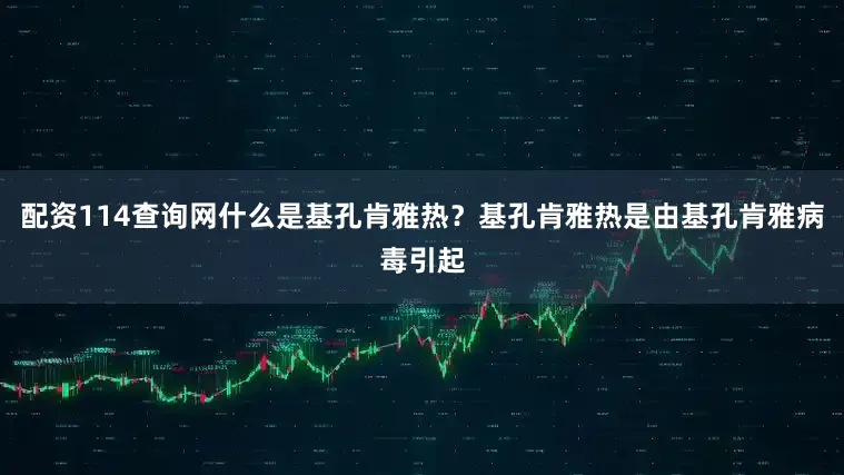 配资114查询网什么是基孔肯雅热？基孔肯雅热是由基孔肯雅病毒引起