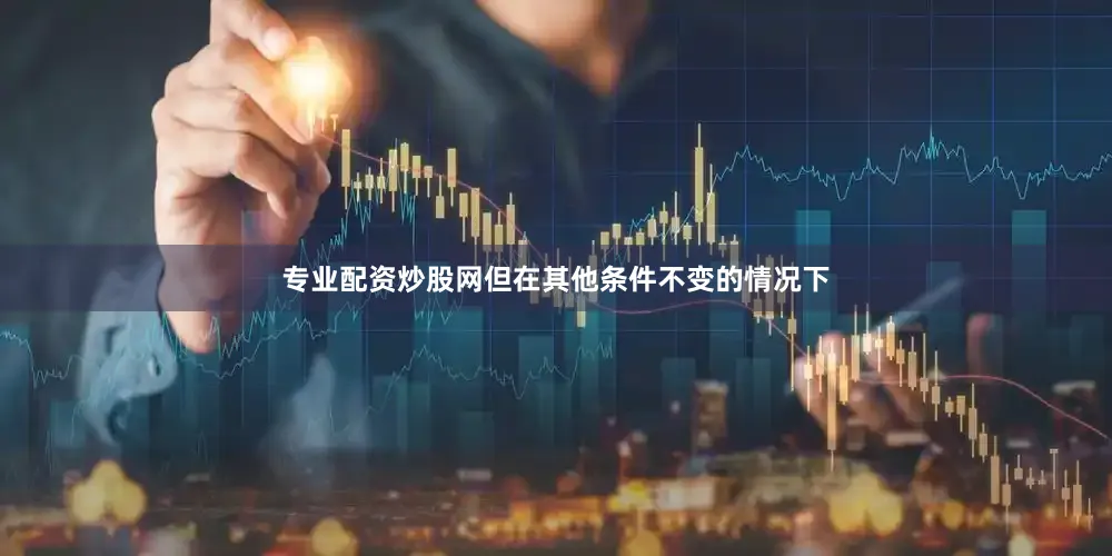 专业配资炒股网但在其他条件不变的情况下